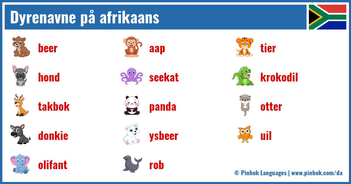 Dyrenavne på afrikaans