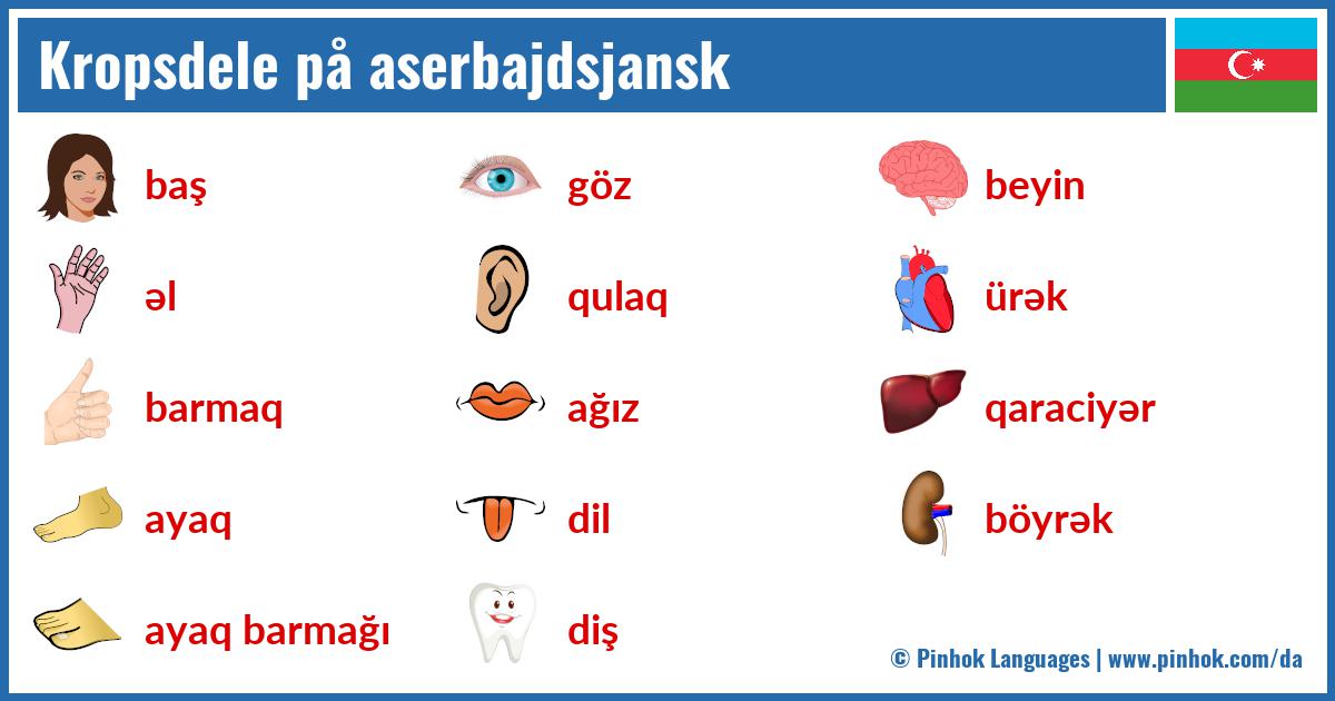 Kropsdele på aserbajdsjansk