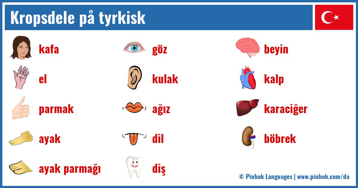 Kropsdele på tyrkisk