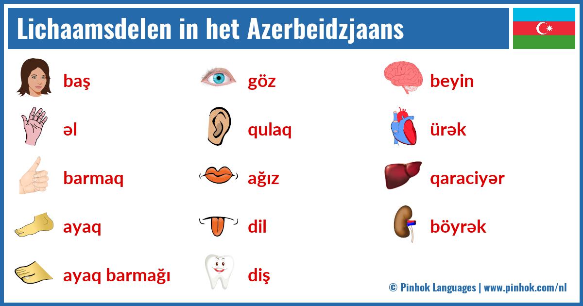 Lichaamsdelen in het Azerbeidzjaans