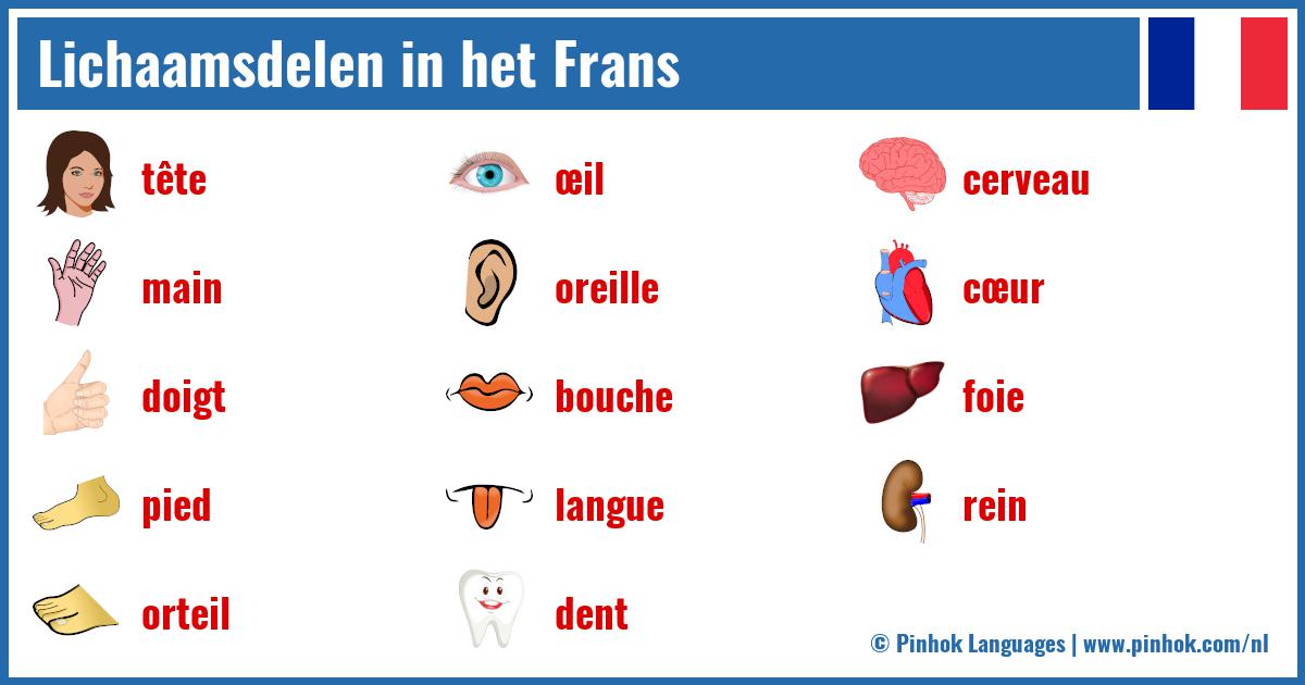 Lichaamsdelen in het Frans