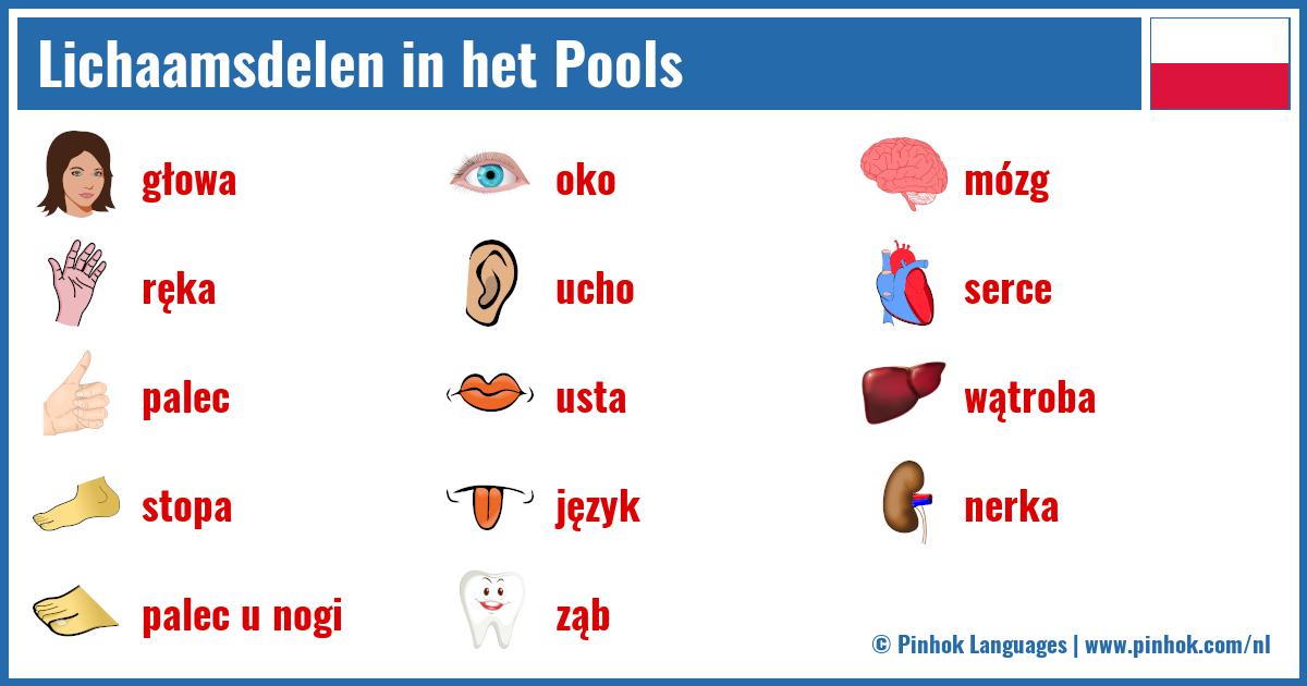 Lichaamsdelen in het Pools