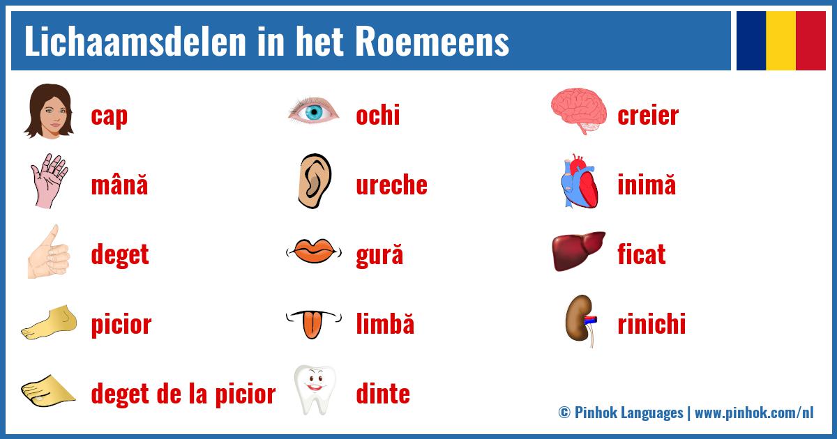 Lichaamsdelen in het Roemeens