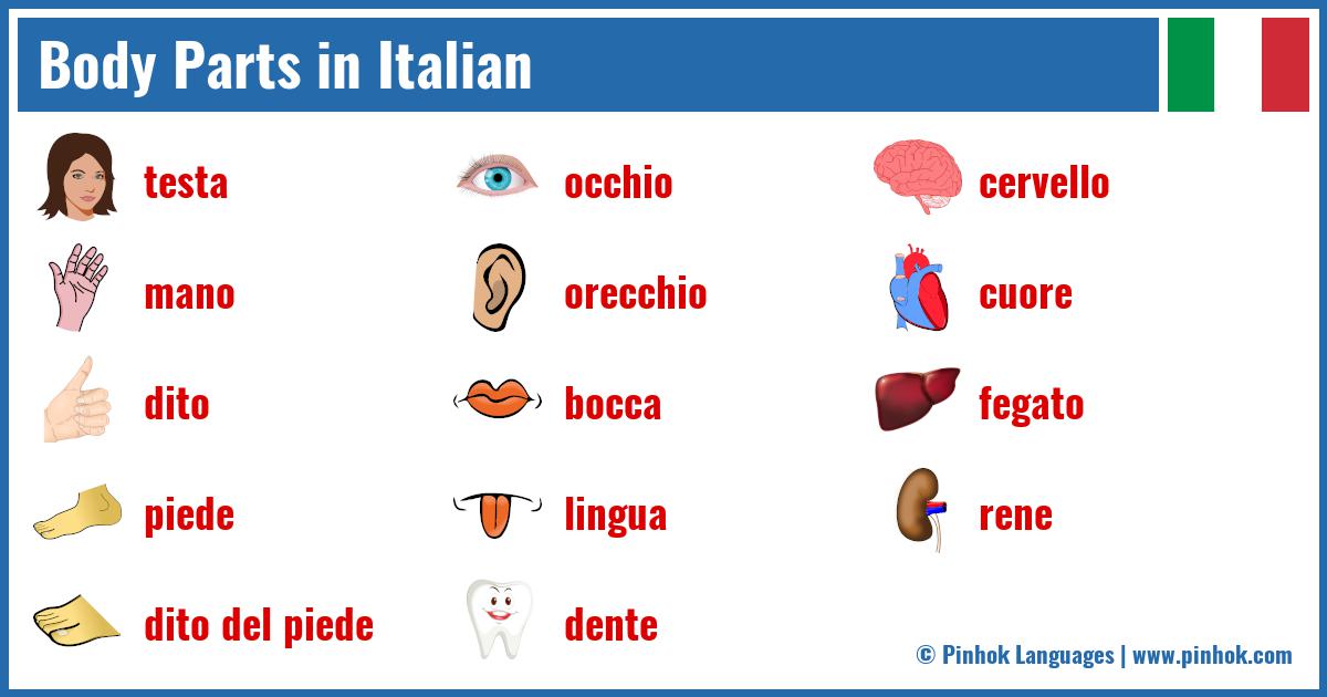 Body Parts in Italian