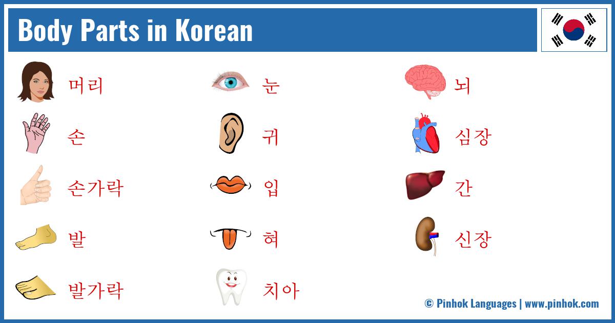 Body Parts in Korean