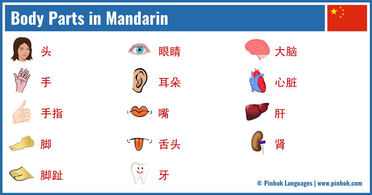 Body Parts in Mandarin