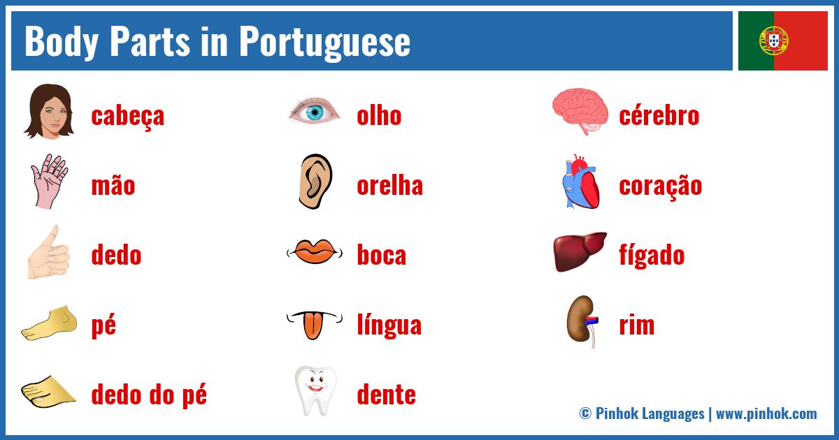 Body Parts in Portuguese