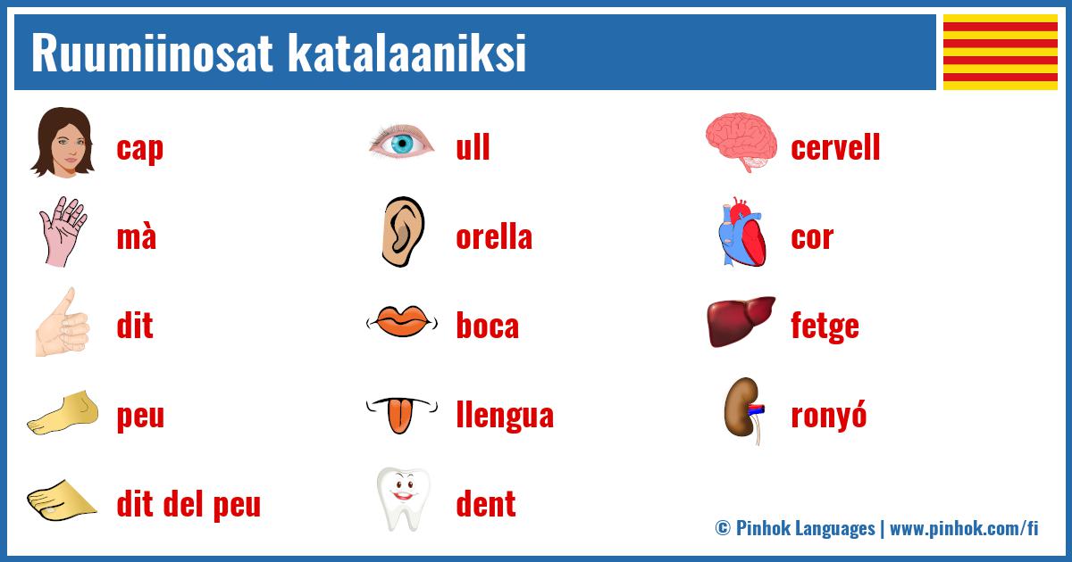 Ruumiinosat katalaaniksi