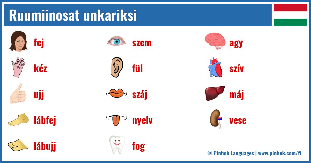 Ruumiinosat unkariksi