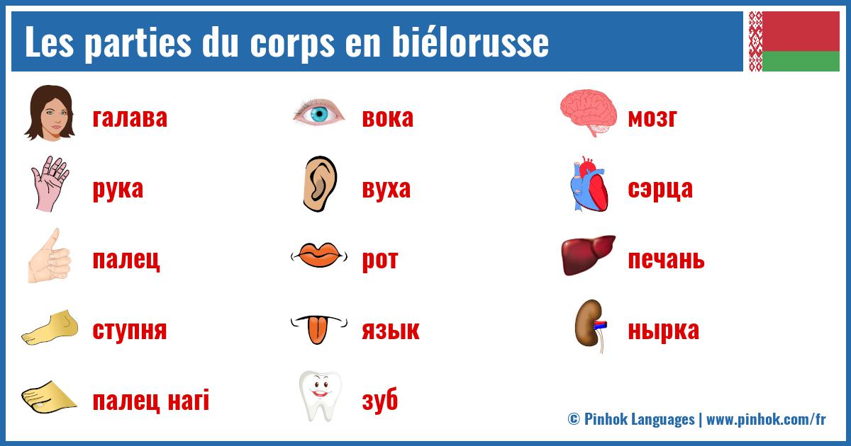 Les parties du corps en biélorusse