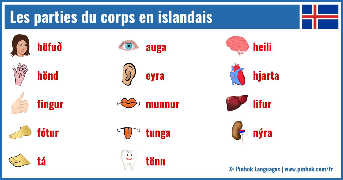 Les parties du corps en islandais