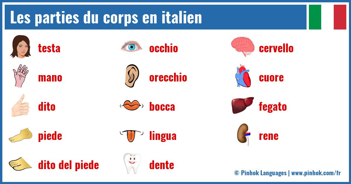 Les parties du corps en italien