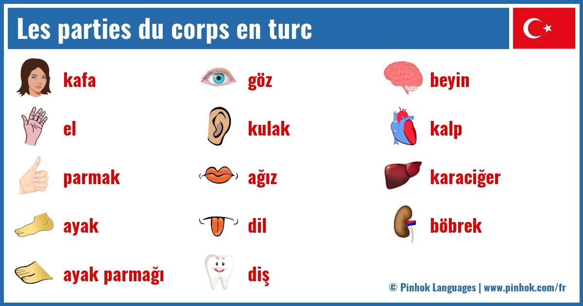 Les parties du corps en turc