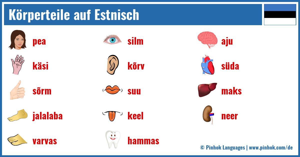 Körperteile auf Estnisch