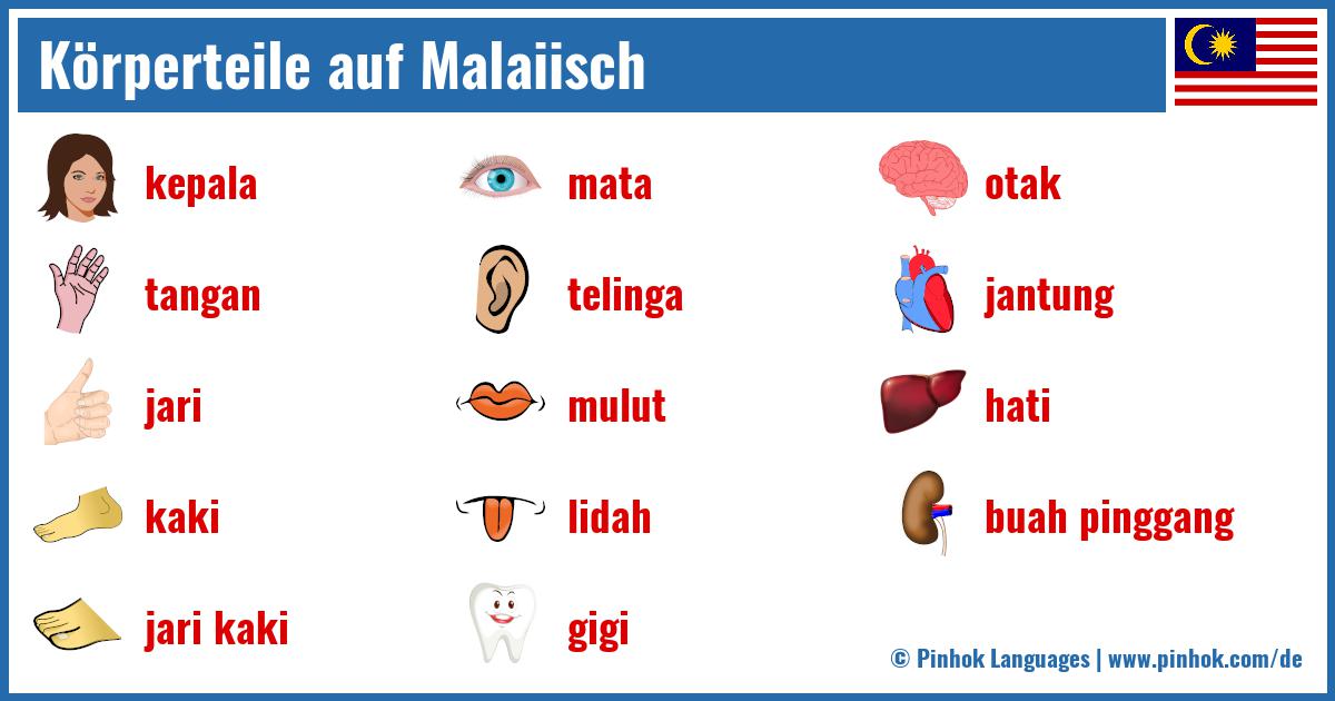 Körperteile auf Malaiisch