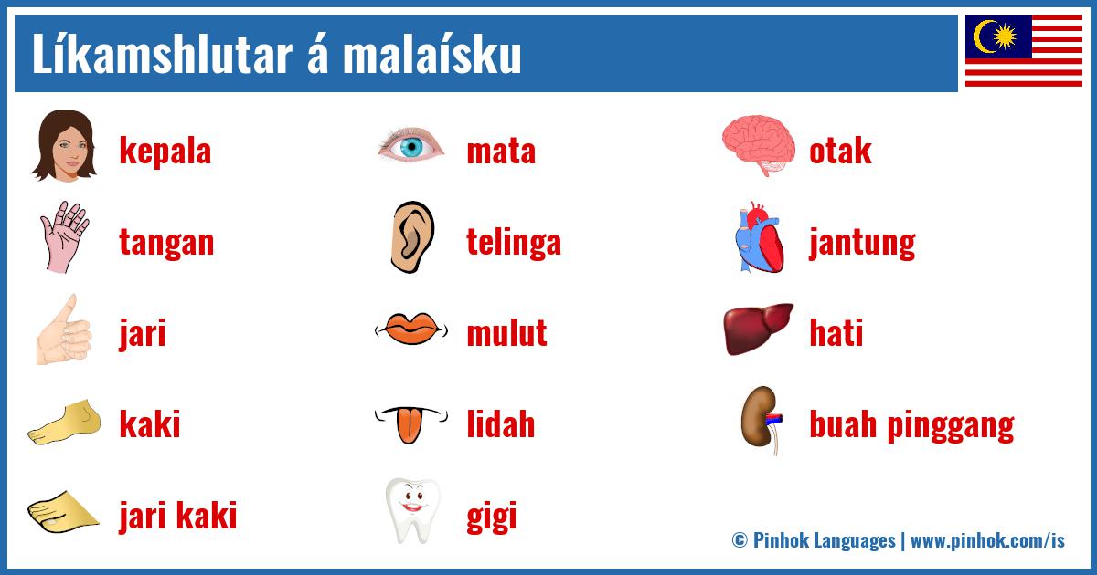 Líkamshlutar á malaísku