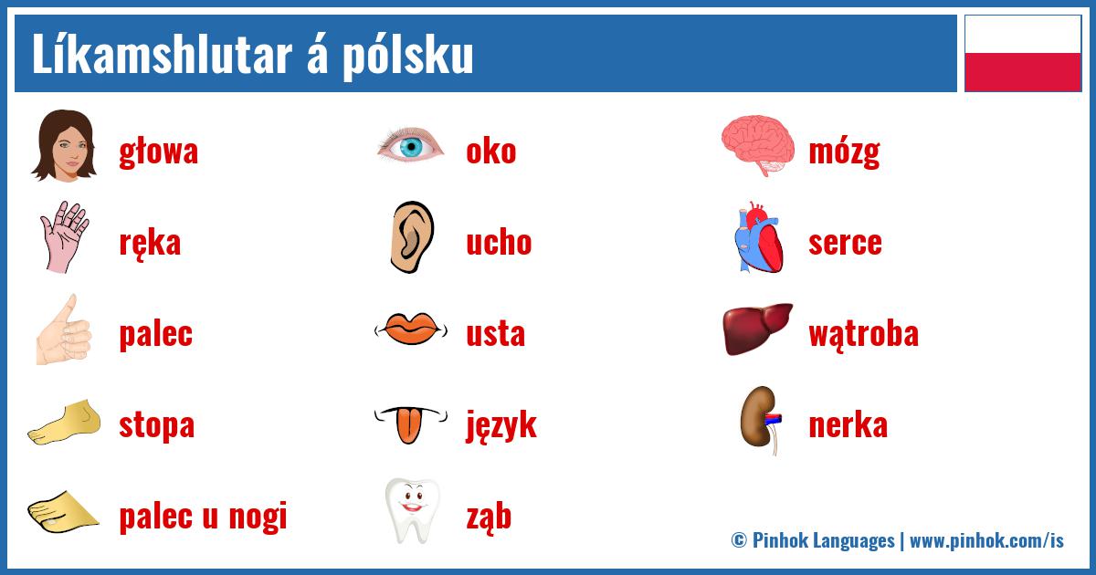 Líkamshlutar á pólsku