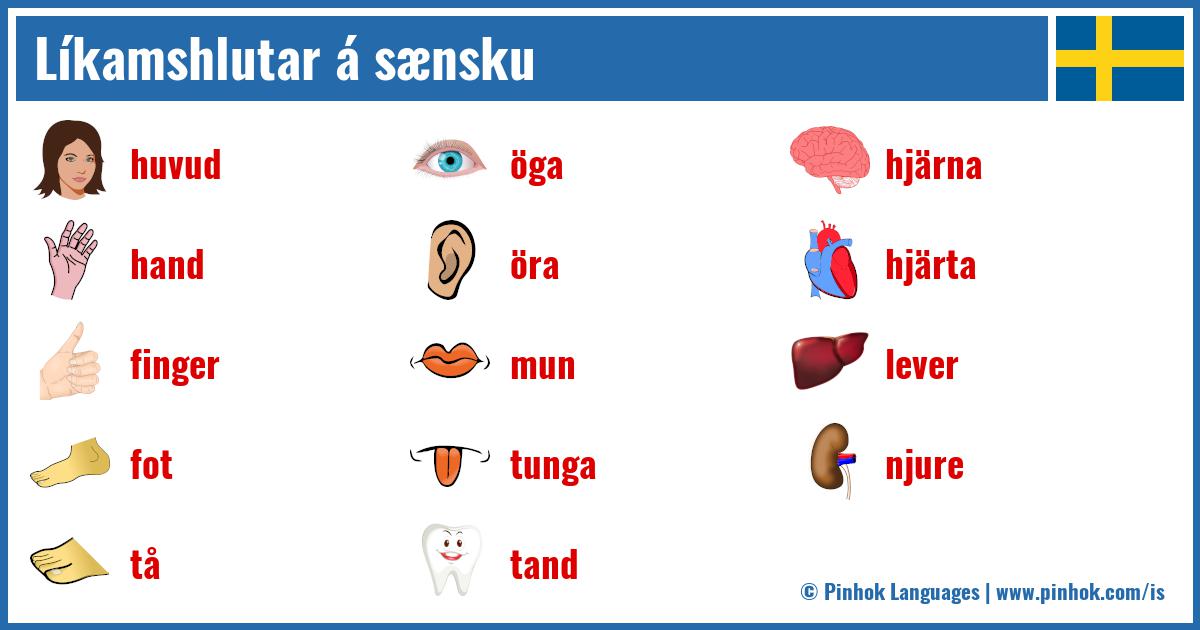 Líkamshlutar á sænsku