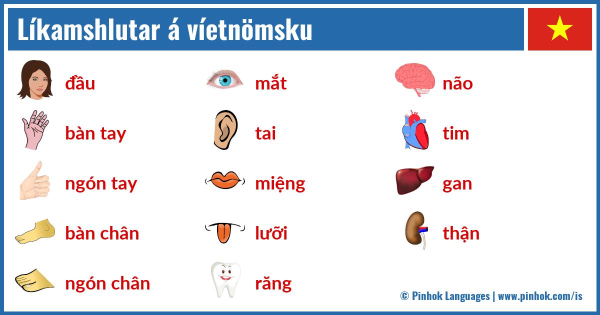 Líkamshlutar á víetnömsku