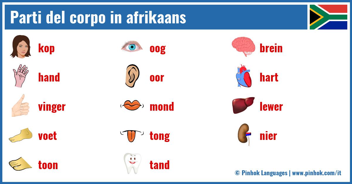 Parti del corpo in afrikaans