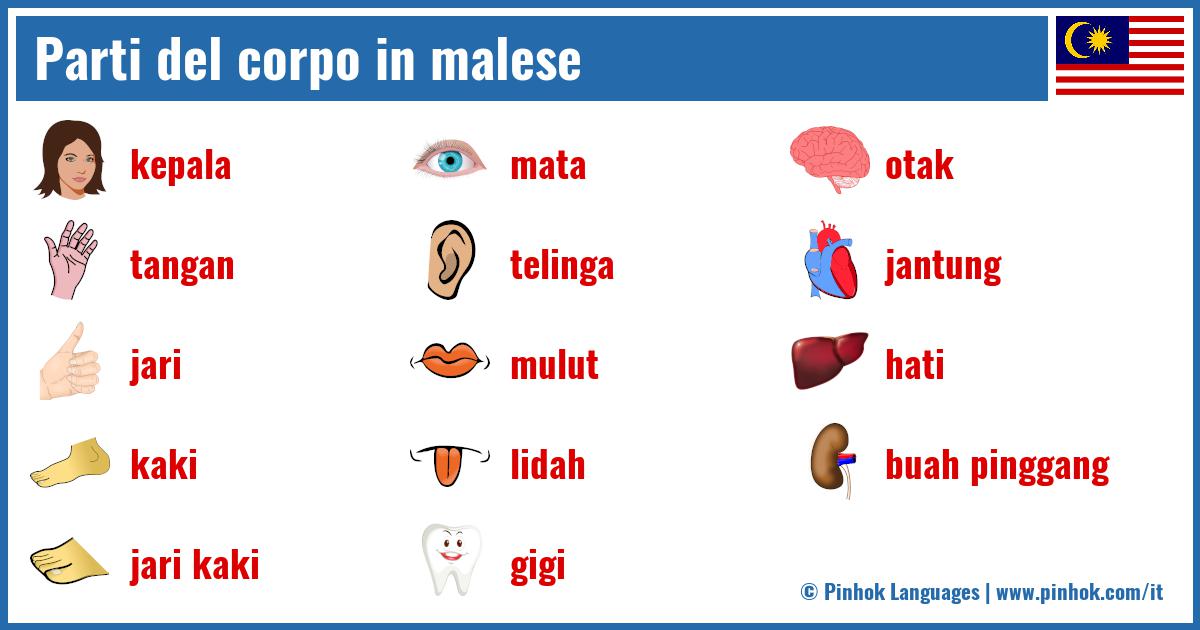 Parti del corpo in malese