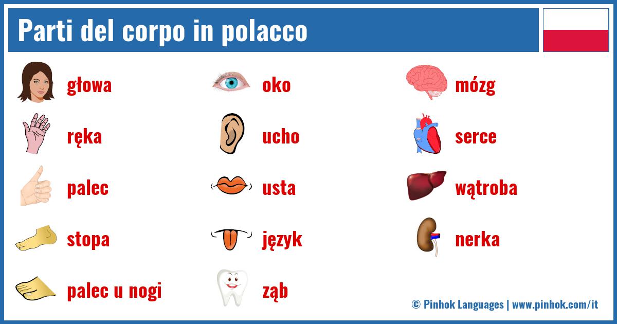 Parti del corpo in polacco