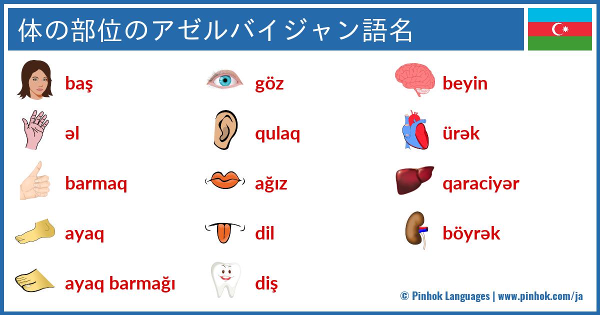 体の部位のアゼルバイジャン語名