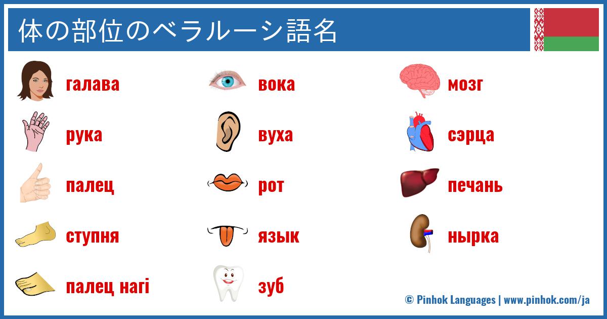 体の部位のベラルーシ語名