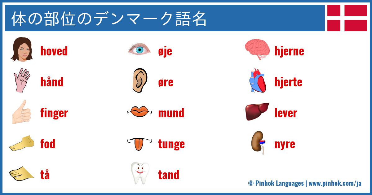 体の部位のデンマーク語名