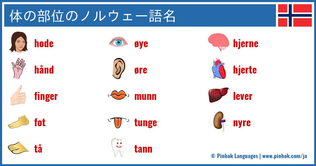 体の部位のノルウェー語名