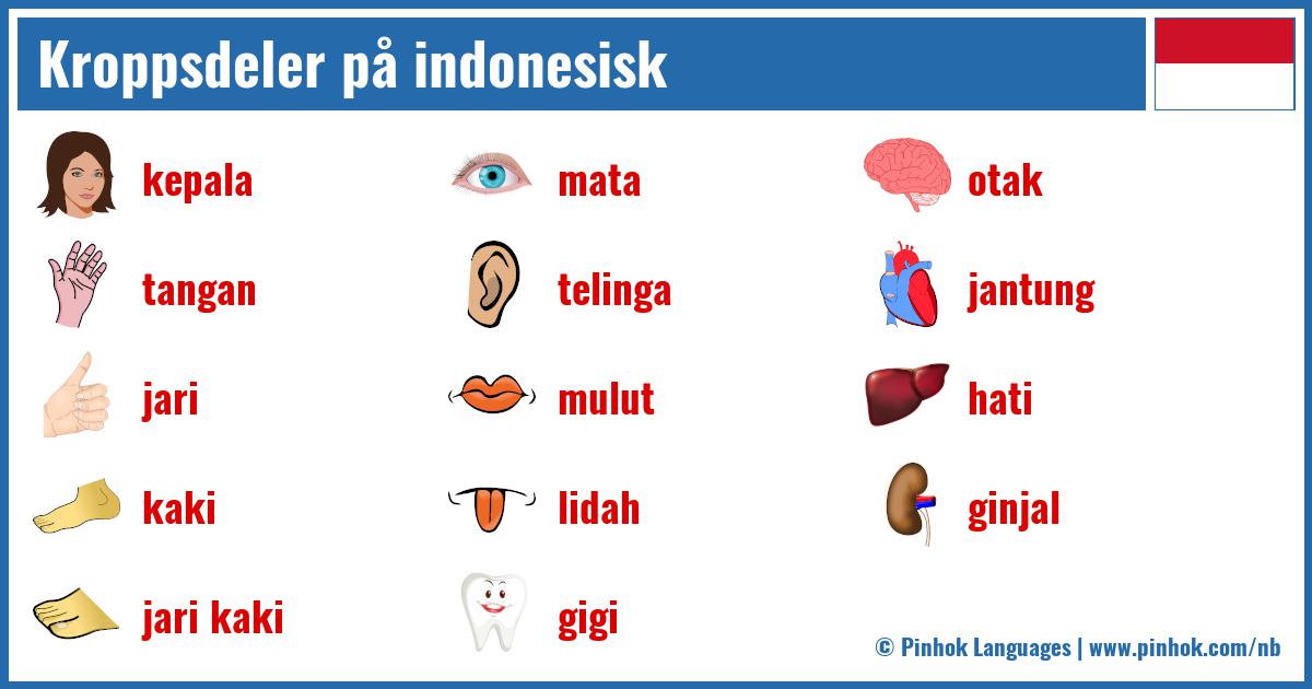 Kroppsdeler på indonesisk