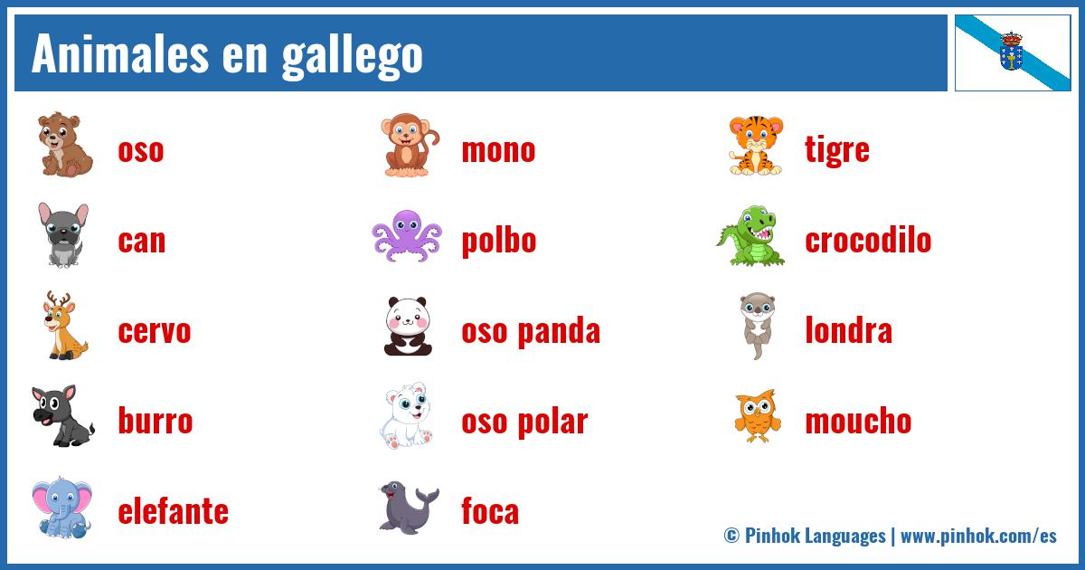 Animales en gallego