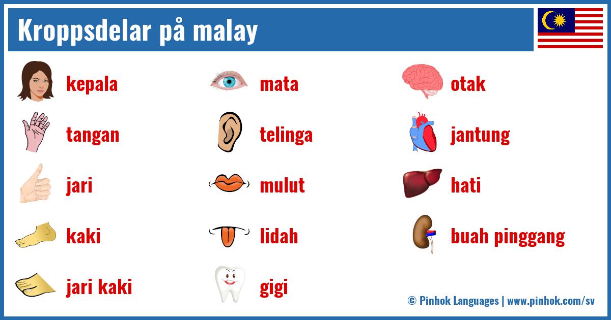 Kroppsdelar på malay